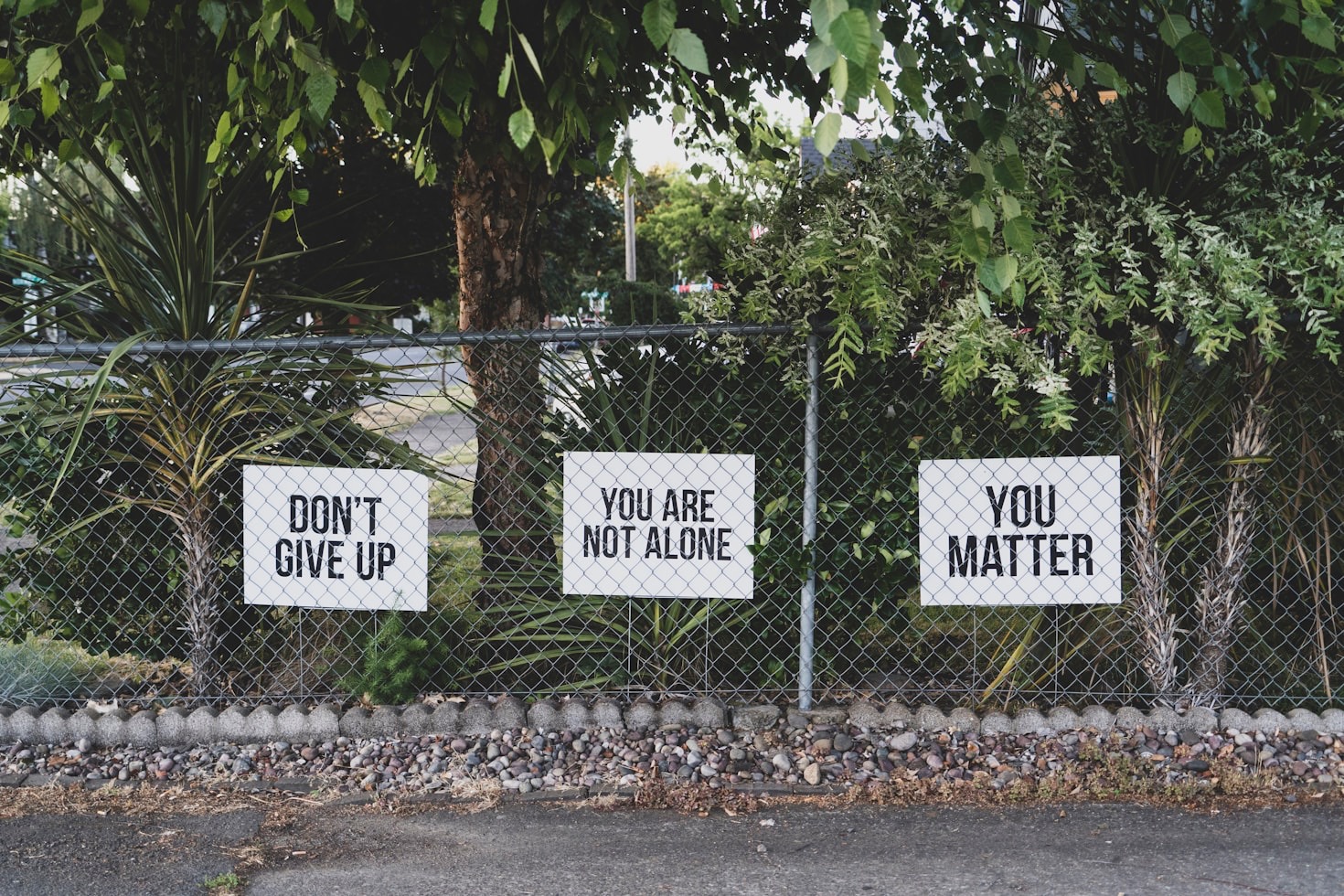 The Role of Counseling in Personal Growth
